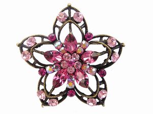 Pink crystal star