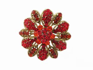 Red Crystal Brooch