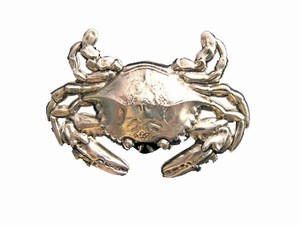Magnetic Brooches, Pins, Jewelry