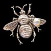 Bee - S