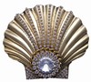 Shell Largest